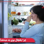 چرا یخچال بوی بد میدهد؟