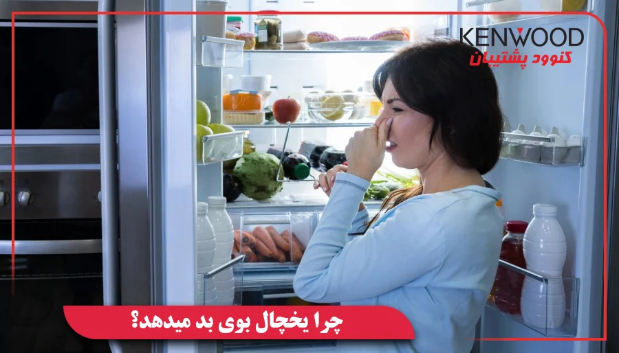 چرا یخچال بوی بد میدهد؟