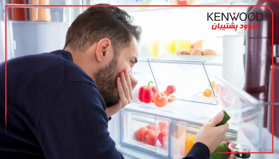 چرا یخچال بوی بد میدهد؟